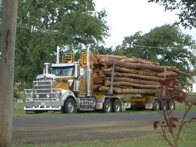 bermy-log-truck.jpg